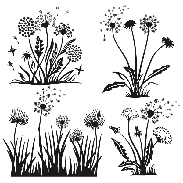 Dandelions Flower Spring Cuttable Designs