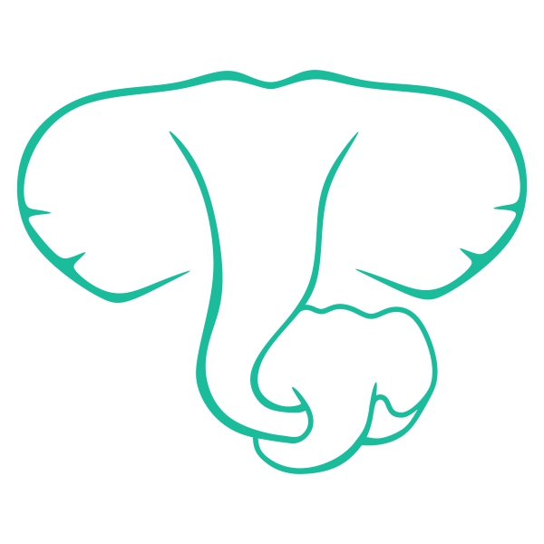 Elephant Mother Svg Cuttable Designs