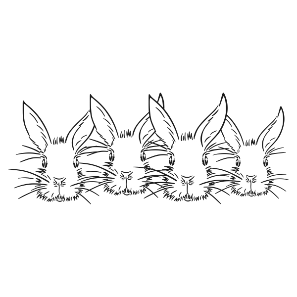 Rabbit Bunny Head Boarders Cuttable Designs