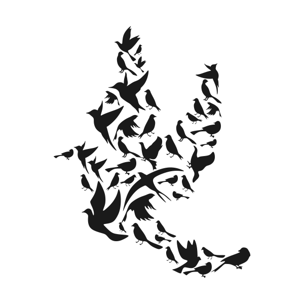 Bird Pack SVG Cuttable Designs