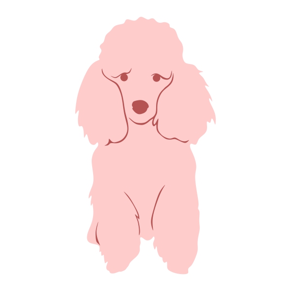 Poodle SVG Cuttable Designs